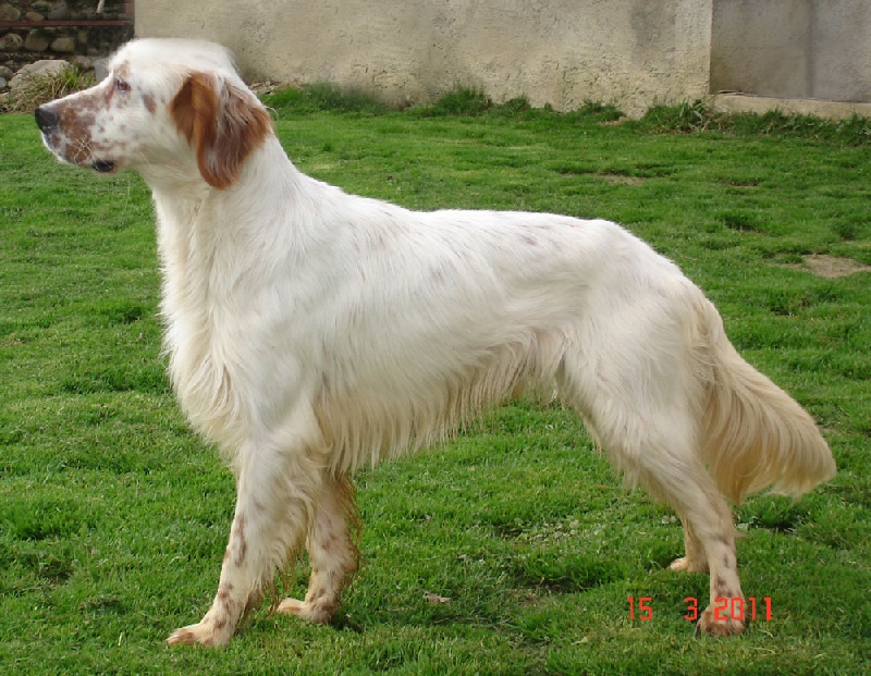 Eleazar du clos de la Baudeliere